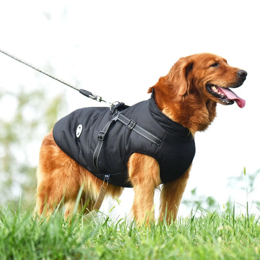 Furry Friend Windproof Cold Weather Coat